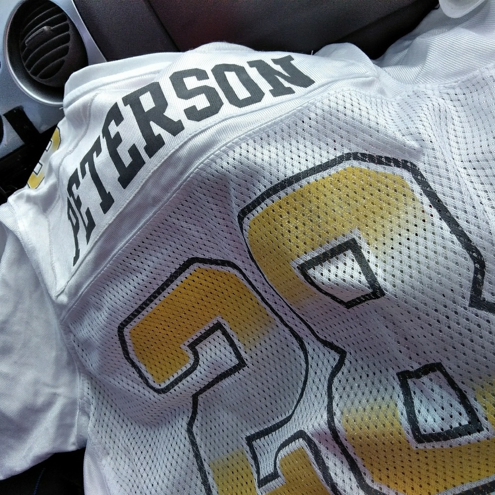 Vikings jersey